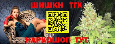 МДПВ Новозыбков
