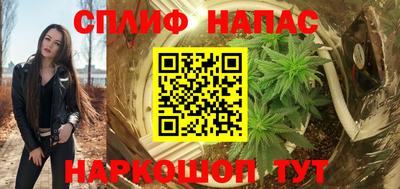 МДПВ Новозыбков