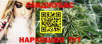 МДПВ Новозыбков