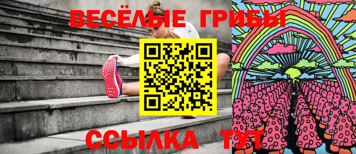 Псилоцибиновые грибы GOLDEN TEACHER Сорочинск